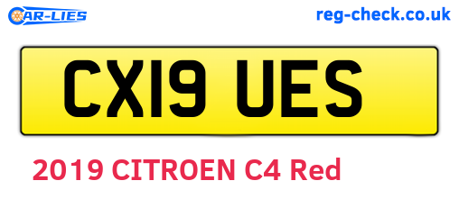 CX19UES are the vehicle registration plates.