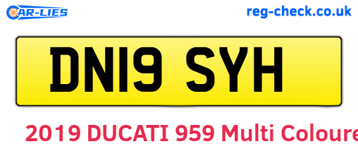 DN19SYH are the vehicle registration plates.