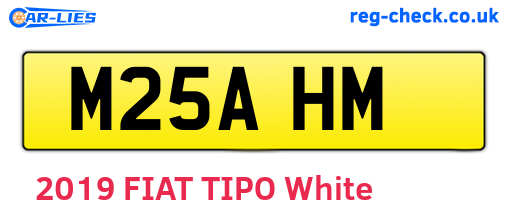M25AHM are the vehicle registration plates.