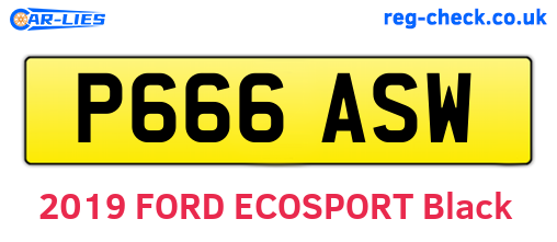 P666ASW are the vehicle registration plates.