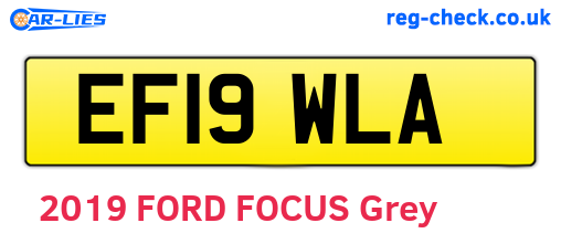 EF19WLA are the vehicle registration plates.