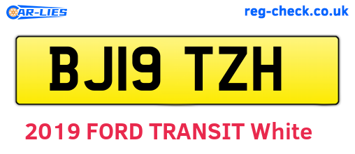 BJ19TZH are the vehicle registration plates.