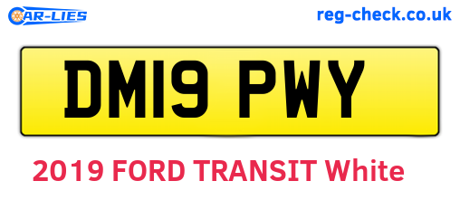 DM19PWY are the vehicle registration plates.