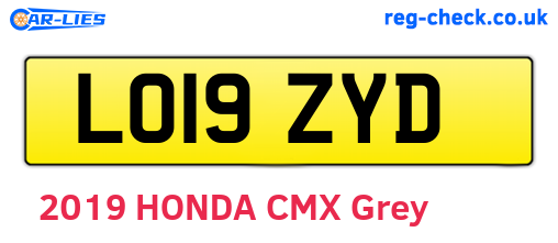 LO19ZYD are the vehicle registration plates.