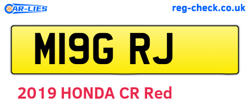 M19GRJ are the vehicle registration plates.