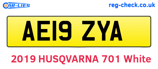 AE19ZYA are the vehicle registration plates.