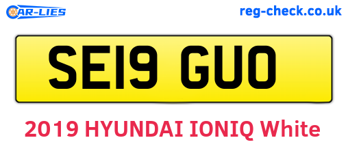 SE19GUO are the vehicle registration plates.