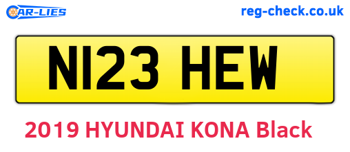 N123HEW are the vehicle registration plates.