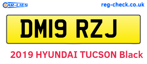 DM19RZJ are the vehicle registration plates.