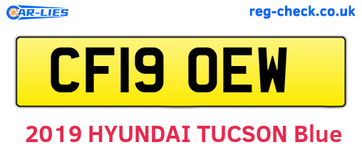 CF19OEW are the vehicle registration plates.