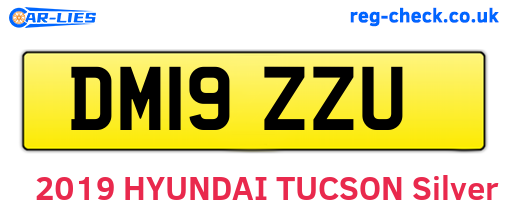 DM19ZZU are the vehicle registration plates.