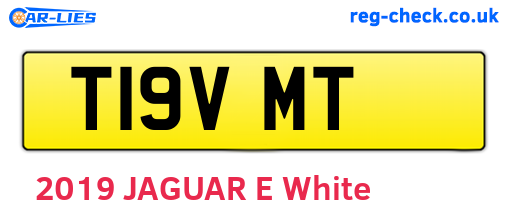 T19VMT are the vehicle registration plates.