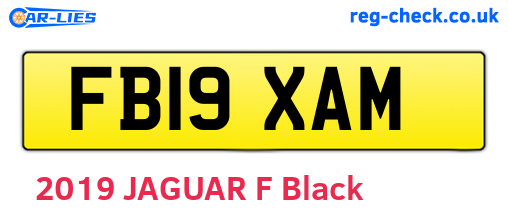 FB19XAM are the vehicle registration plates.