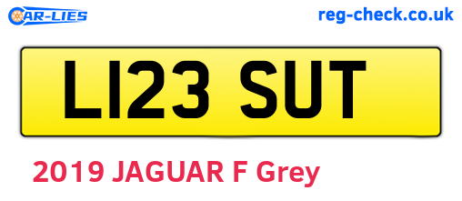 L123SUT are the vehicle registration plates.