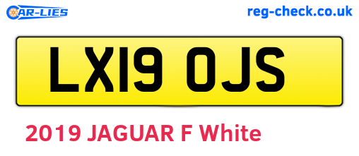 LX19OJS are the vehicle registration plates.