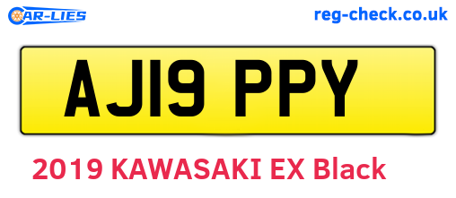 AJ19PPY are the vehicle registration plates.