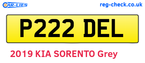 P222DEL are the vehicle registration plates.