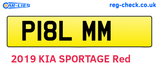 P18LMM are the vehicle registration plates.