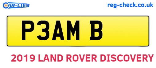 P3AMB are the vehicle registration plates.