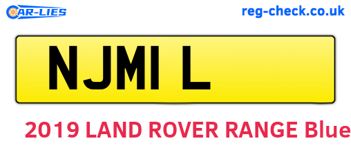 NJM1L are the vehicle registration plates.
