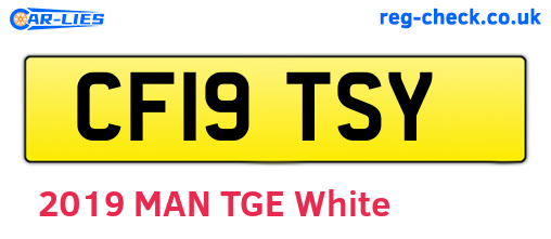 CF19TSY are the vehicle registration plates.