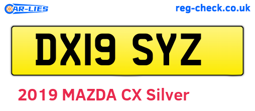 DX19SYZ are the vehicle registration plates.
