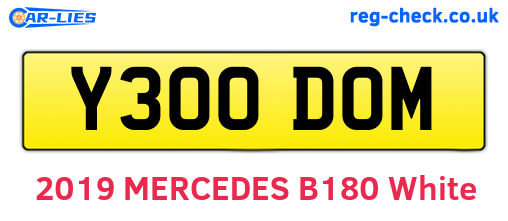 Y300DOM are the vehicle registration plates.