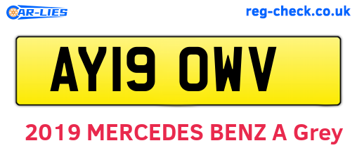 AY19OWV are the vehicle registration plates.