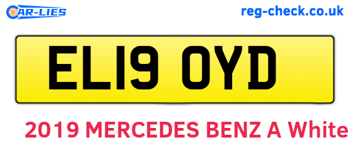 EL19OYD are the vehicle registration plates.