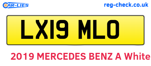 LX19MLO are the vehicle registration plates.