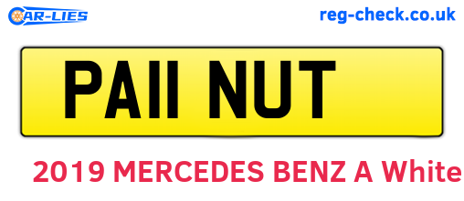 PA11NUT are the vehicle registration plates.