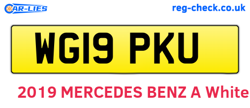 WG19PKU are the vehicle registration plates.