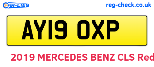 AY19OXP are the vehicle registration plates.