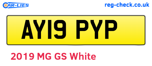 AY19PYP are the vehicle registration plates.