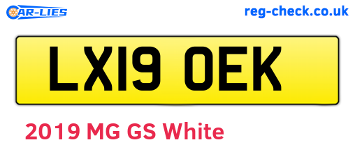 LX19OEK are the vehicle registration plates.