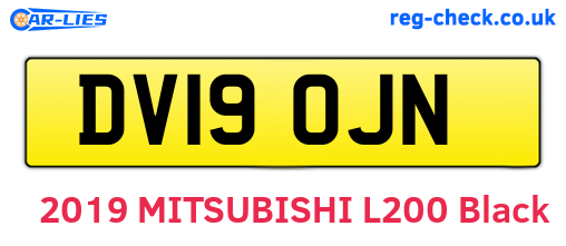 DV19OJN are the vehicle registration plates.