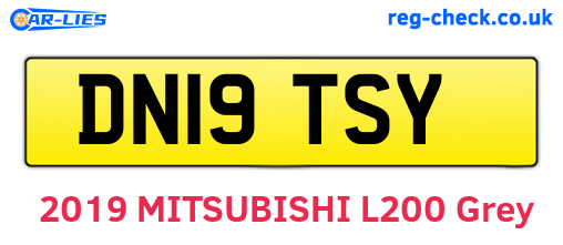 DN19TSY are the vehicle registration plates.