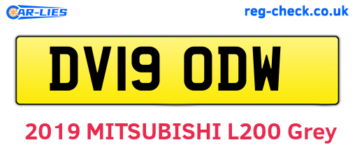 DV19ODW are the vehicle registration plates.