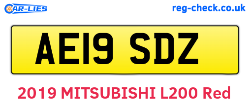 AE19SDZ are the vehicle registration plates.