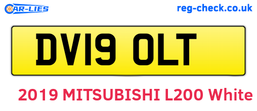 DV19OLT are the vehicle registration plates.