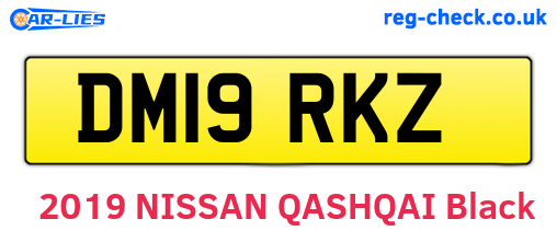 DM19RKZ are the vehicle registration plates.