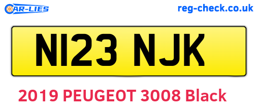 N123NJK are the vehicle registration plates.