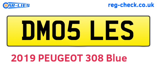 DM05LES are the vehicle registration plates.