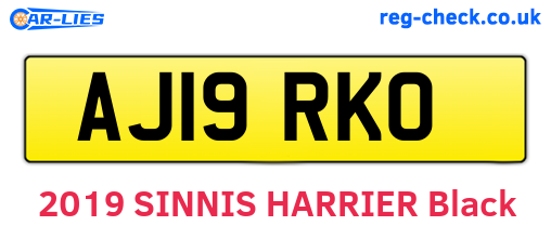 AJ19RKO are the vehicle registration plates.