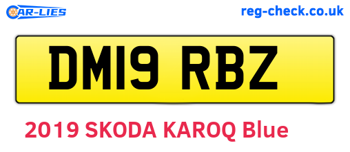 DM19RBZ are the vehicle registration plates.