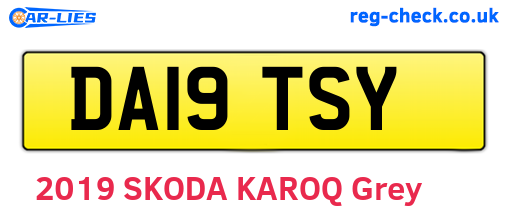 DA19TSY are the vehicle registration plates.