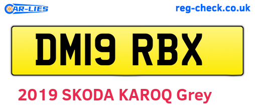 DM19RBX are the vehicle registration plates.