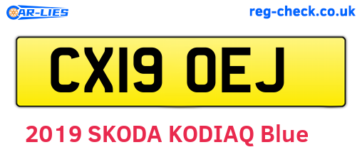 CX19OEJ are the vehicle registration plates.