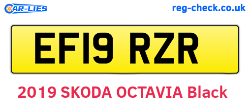 EF19RZR are the vehicle registration plates.