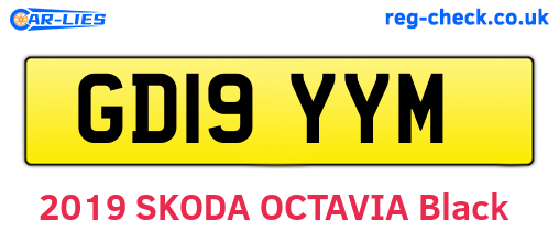 GD19YYM are the vehicle registration plates.